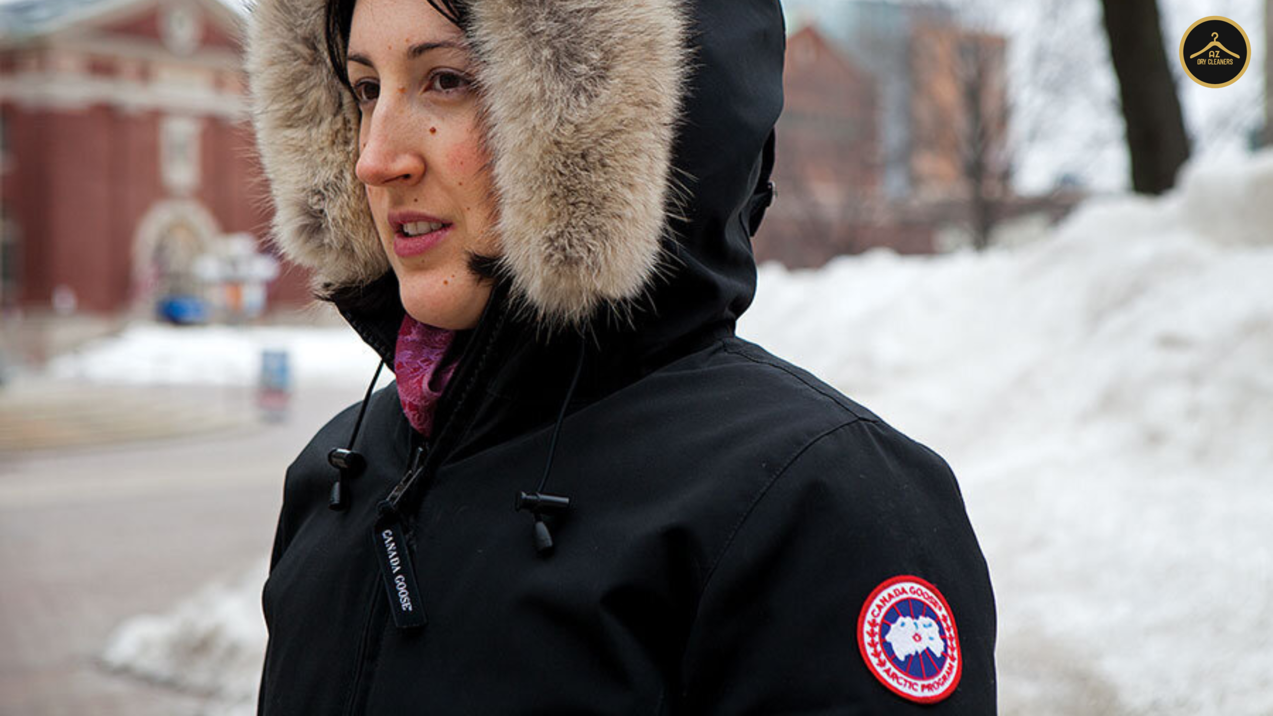 canada goose